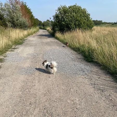 Casa de Férias Osada Rybacka